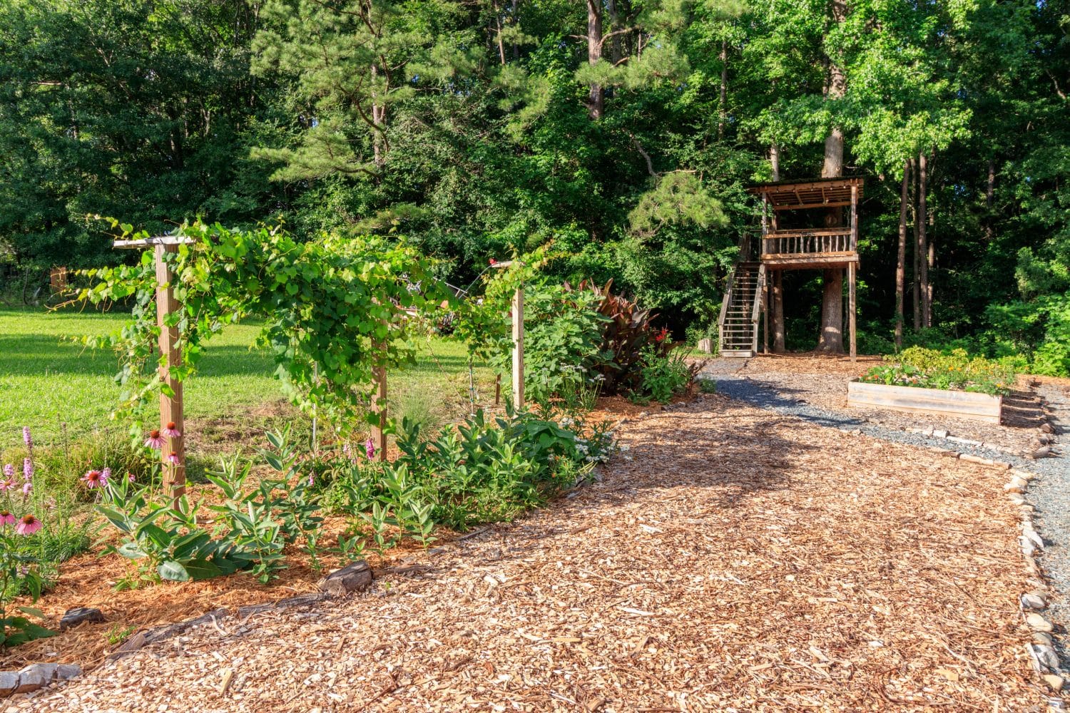 Cottage home in Indian Land with edible gardens, raised beds, chicken coop, yoga deck, and mature trees near Ballantyne.
