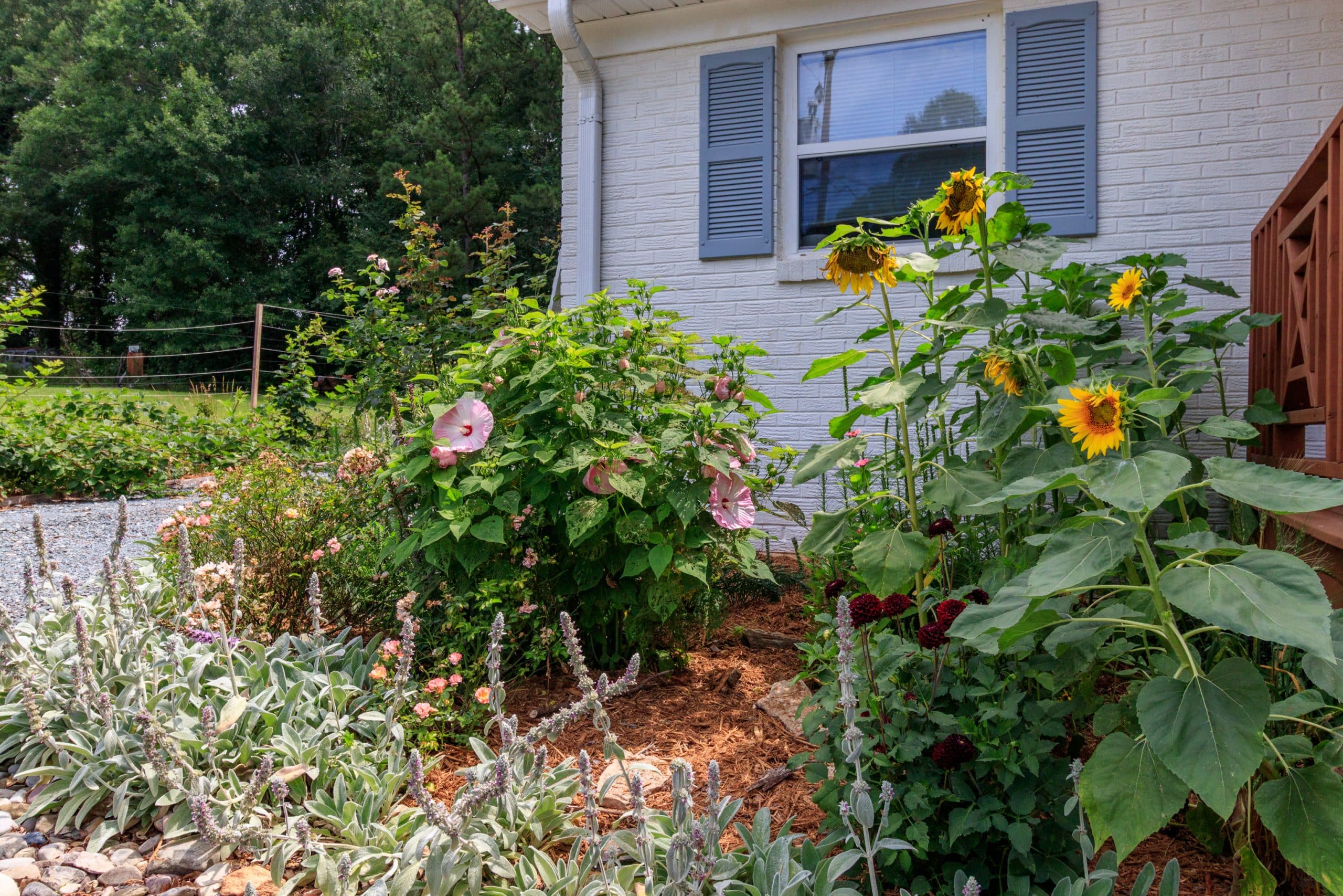 Cottage home in Indian Land with edible gardens, raised beds, chicken coop, yoga deck, and mature trees near Ballantyne.
