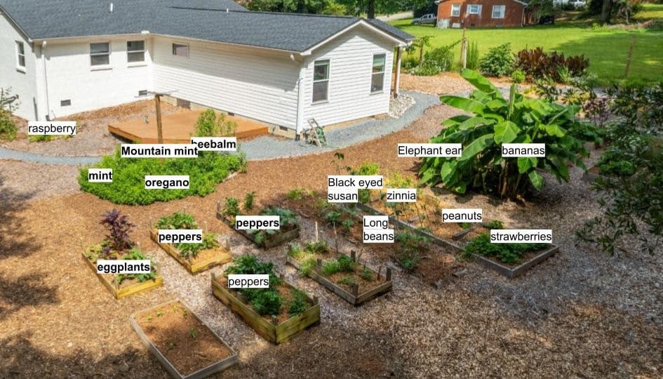 Cottage home in Indian Land with edible gardens, raised beds, chicken coop, yoga deck, and mature trees near Ballantyne.