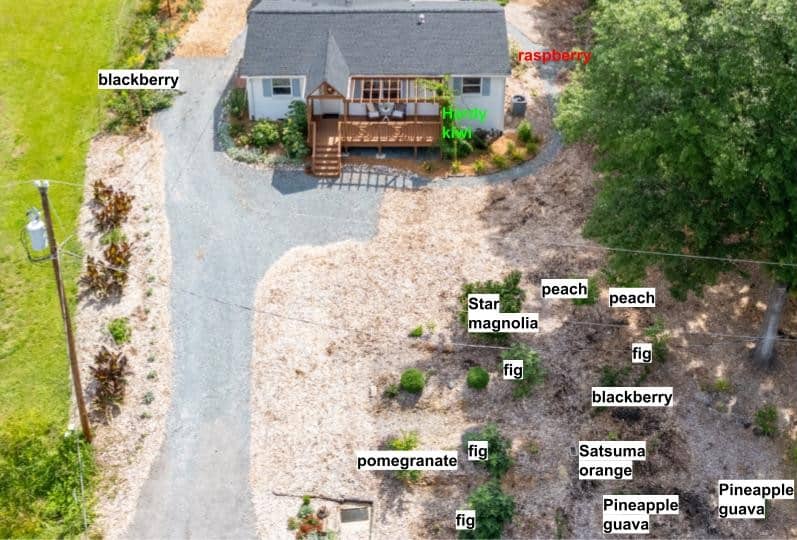 Cottage home in Indian Land with edible gardens, raised beds, chicken coop, yoga deck, and mature trees near Ballantyne.