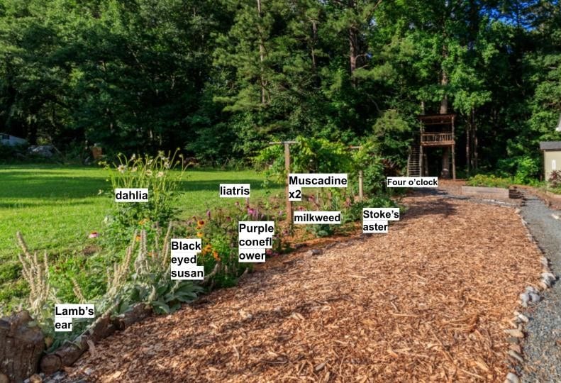Cottage home in Indian Land with edible gardens, raised beds, chicken coop, yoga deck, and mature trees near Ballantyne.
