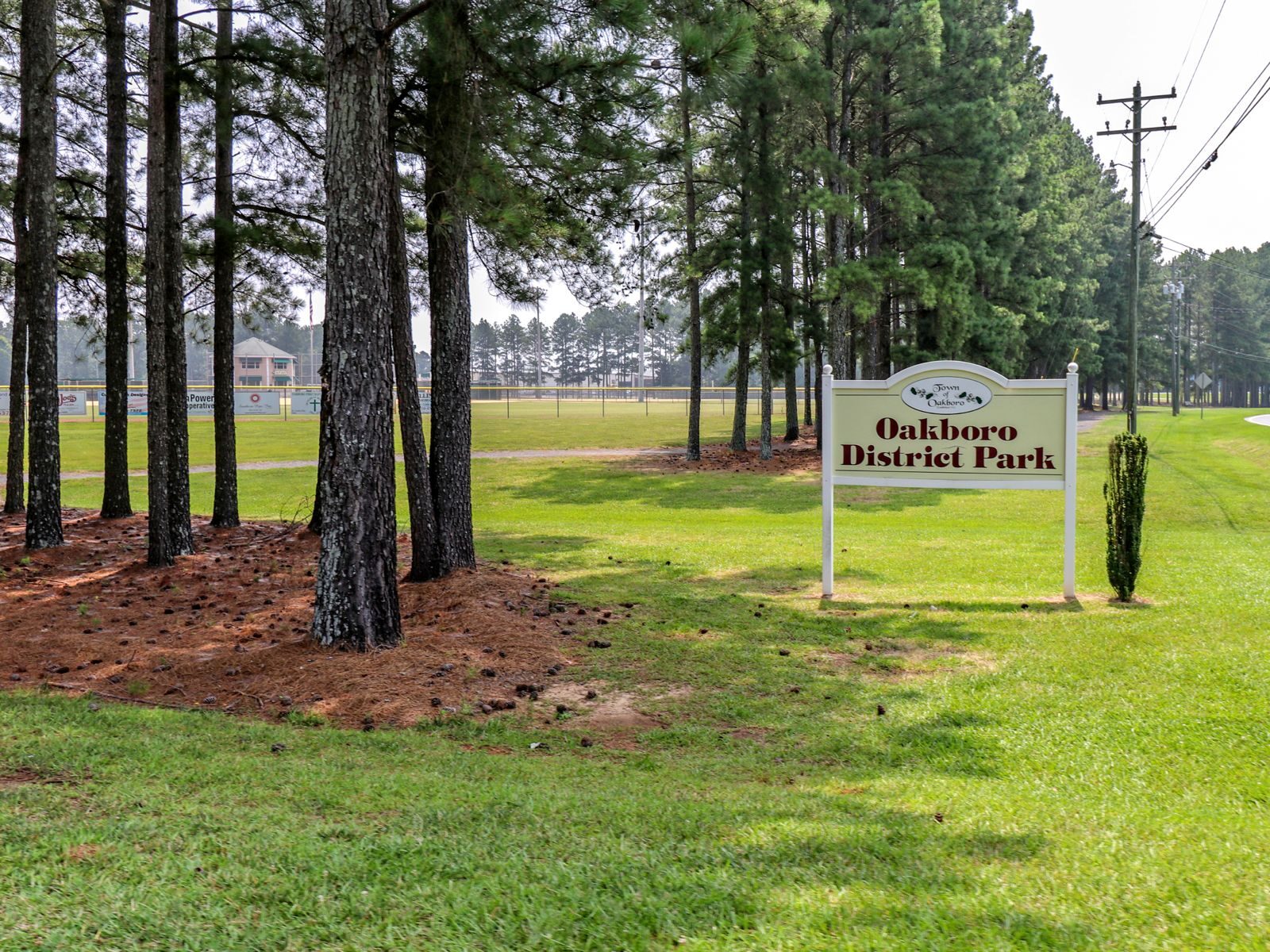 Oakboro District Park pine trees and pond — Charlotte real estate photo